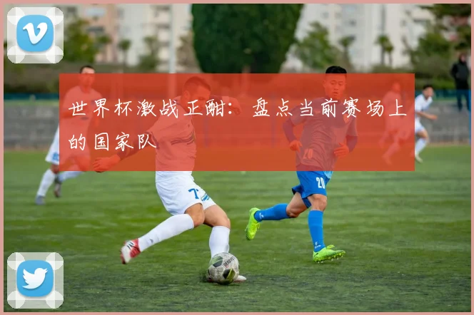 世界杯激战正酣：盘点当前赛场上的国家队