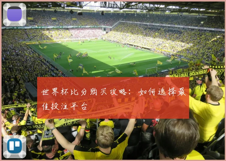 世界杯比分购买攻略：如何选择最佳投注平台